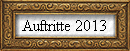 Auftritte 2013